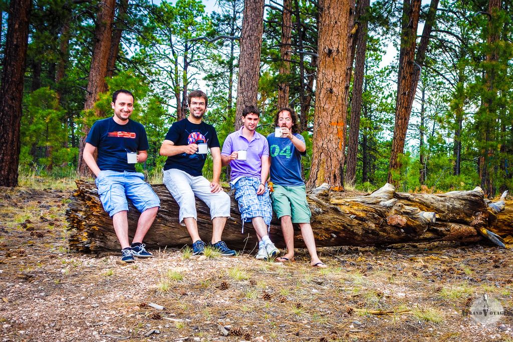 Un café bien chaud, dans une vraie tasse, perdus au milieu d'une forêt, c'est le top !