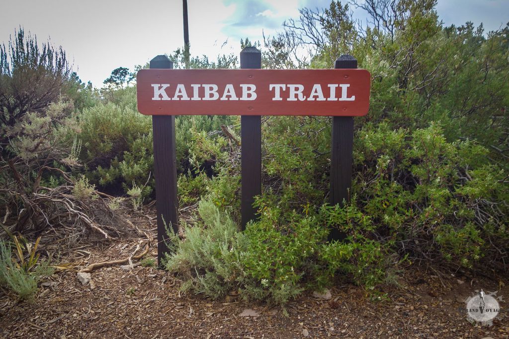 Nous rejoignons le Kaibab Trail. Ca tombe bien j'ai une petite faim. Frites Harissa Mayo pour moi chef ! (oui, j'ai mangé du clown ce matin)