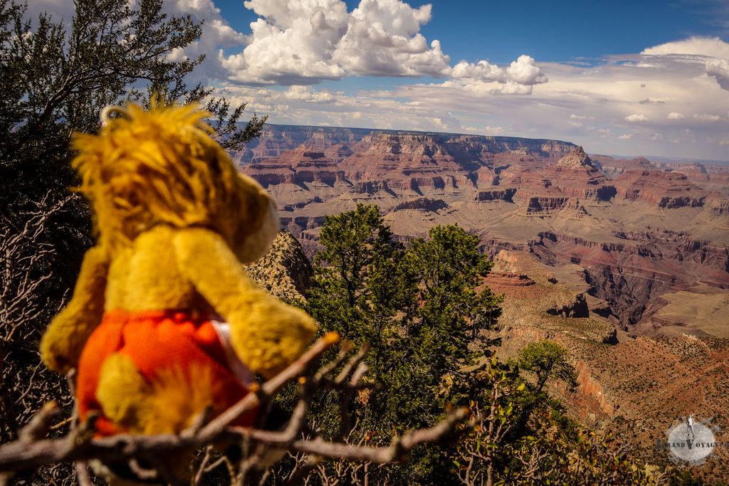 Image for Le Grand Canyon en camping car
