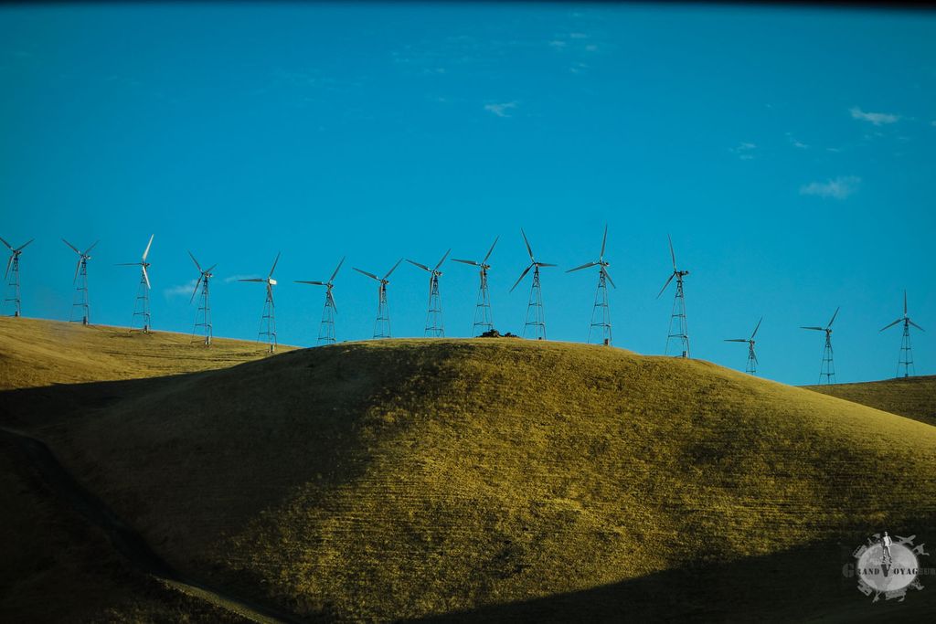La Californie, pionnière sur les énergies renouvelables. On verra des milliers d'éoliennes perchées sur les collines durant cette journée. La Californie, pionnière sur les énergies renouvelables. On verra des milliers d'éoliennes perchées sur les collines durant cette journée.