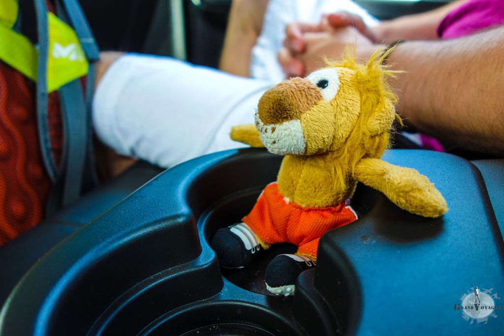 T-Chat est maintenant un vrai pro du voyage, à l'aise dans tous les transports. T-Chat est maintenant un vrai pro du voyage, à l'aise dans tous les transports.