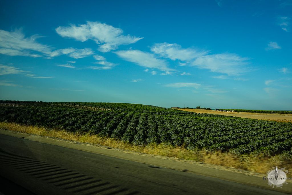 Et toujours des vergers à perte de vue. Et toujours des vergers à perte de vue.