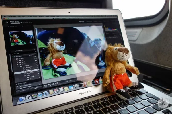 T-Chat supervise les travaux de retouche photo le concernant pour s'assurer que son image n'en sortira pas diminuée.