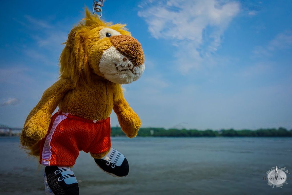 T-Chat reste suspendu face au dilemme qui s'offre à moi. Option 1/ ou 2/?