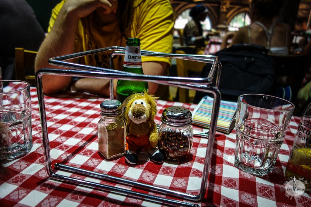 T-Chat au Grimaldi's joue dans sa cage.