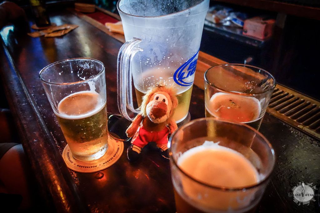 T-Chat, pas la peine de faire l'innocent, on t'a vu descendre les pintes ! Regarde-toi maintenant... T-Chat, pas la peine de faire l'innocent, on t'a vu descendre les pintes ! Regarde-toi maintenant...