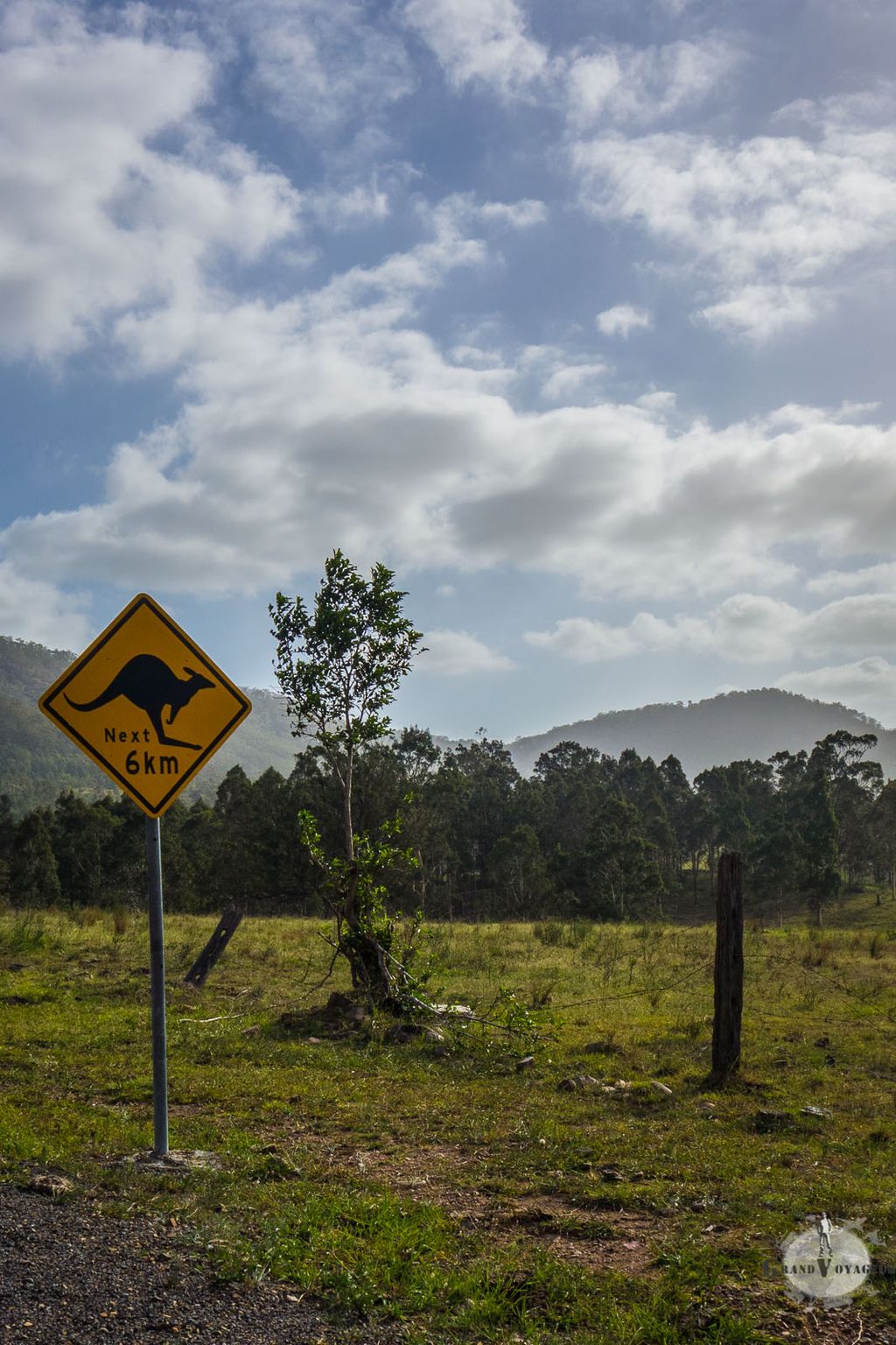 Chez nous, on a les sangliers. En Australie, ce sont les kangourous qui trouvent amusant de foncer sous les roues des voitures. Chez nous, on a les sangliers. En Australie, ce sont les kangourous qui trouvent amusant de foncer sous les roues des voitures.