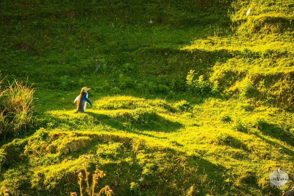 Pas trouvé ? Il était juste au milieu ! Pas trouvé ? Il était juste au milieu !