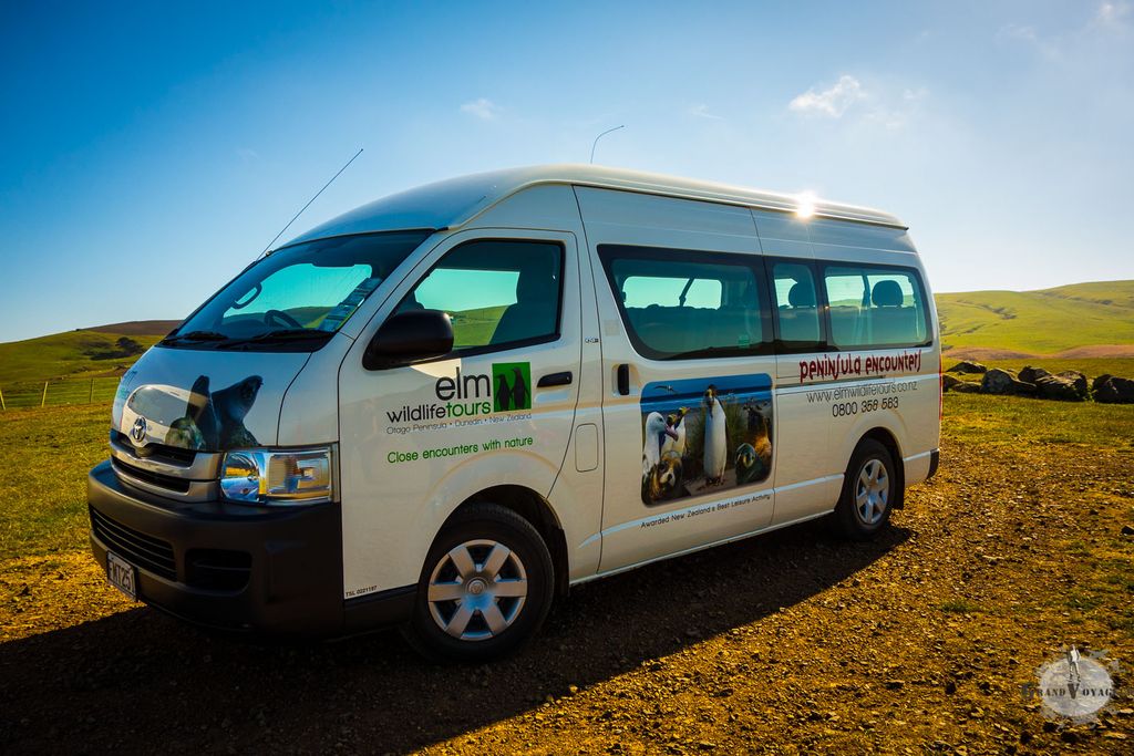 Le van d'Elm Wildlife Tour, on ne peut pas le rater. Le van d'Elm Wildlife Tour, on ne peut pas le rater.