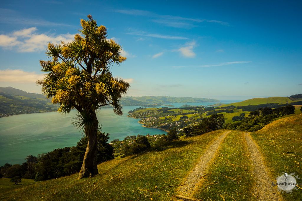 Arrivée en péninsule d'Otago, on n'aurait pas pu avoir un meilleur temps. Arrivée en péninsule d'Otago, on n'aurait pas pu avoir un meilleur temps.