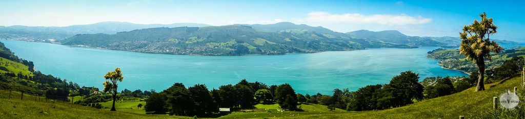 Vers la gauche on remonte le bras de mer vers Dunedin. Vers la droite on arrive dans l'Océan Pacifique Vers la gauche on remonte le bras de mer vers Dunedin. Vers la droite on arrive dans l'Océan Pacifique