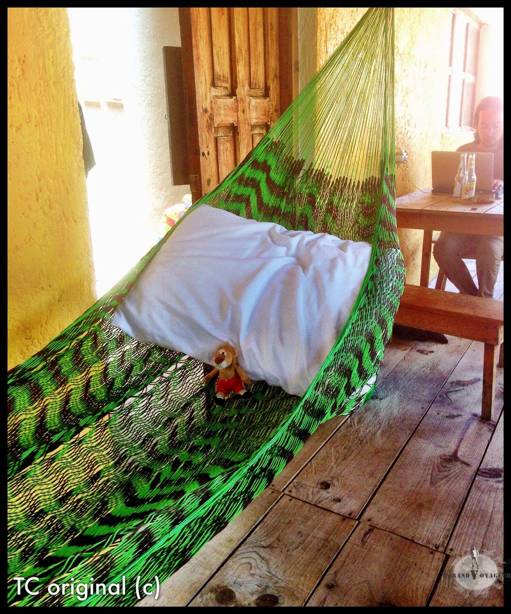 T-Chat fait la sieste. T-Chat fait la sieste.