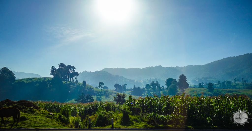 Au delà des fenêtres du van, un paysage un peu junglesque (junglifiant ?). Au delà des fenêtres du van, un paysage un peu junglesque (junglifiant ?).