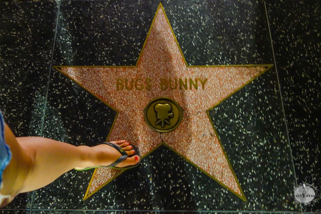 Voir la marque de Bugs Bunny sur le Walk of Fame, ça, c'est fait ! On peut aller dormir maintenant. Voir la marque de Bugs Bunny sur le Walk of Fame, ça, c'est fait ! On peut aller dormir maintenant.