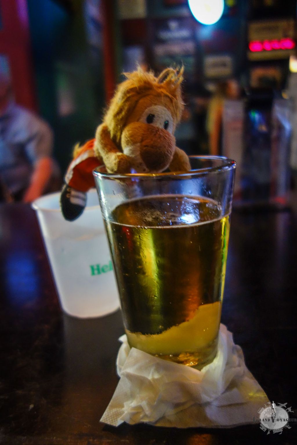 T-Chat essaie de voler un peu de bière, pensant qu'on ne le voit pas... tss tss T-Chat !  T-Chat essaie de voler un peu de bière, pensant qu'on ne le voit pas... tss tss T-Chat !