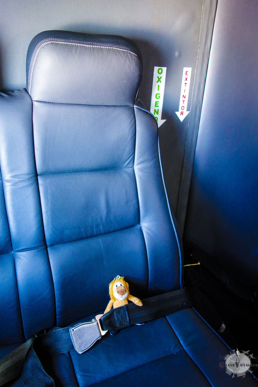 T-Chat est bien attaché. T-Chat est bien attaché.