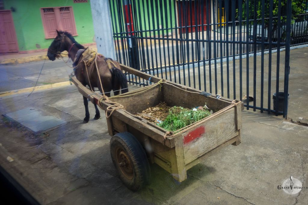 En plein Nicaragua, on trouve tout type de moyens de transport. Au moins, pas besoin d'essence !