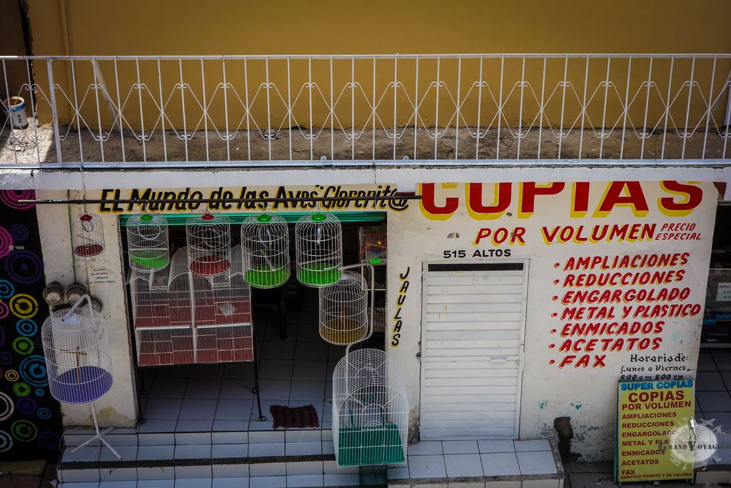 Devant notre hostel, on vend des cages et des oiseaux. Ca piaille toute la journée.