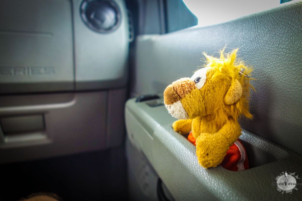 T-Chat est excité par le fait d'être le copilote alors que tout le monde dort