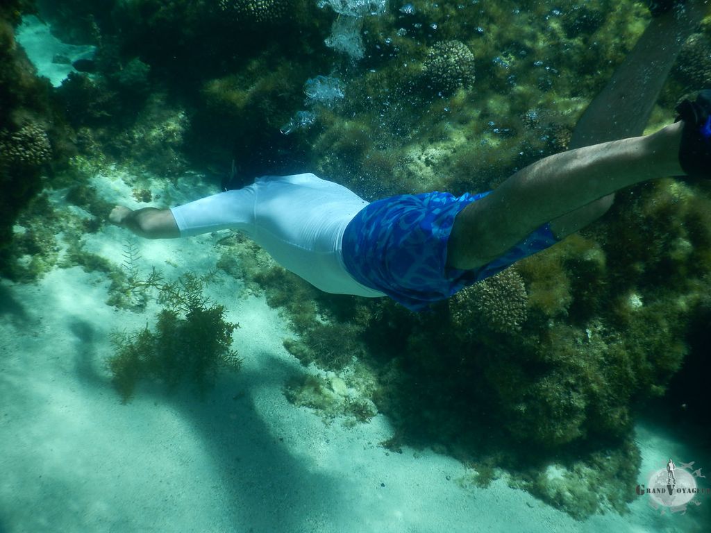 J'essaie de suivre les poissons mais ils sont rapides les bougres. J'essaie de suivre les poissons mais ils sont rapides les bougres.