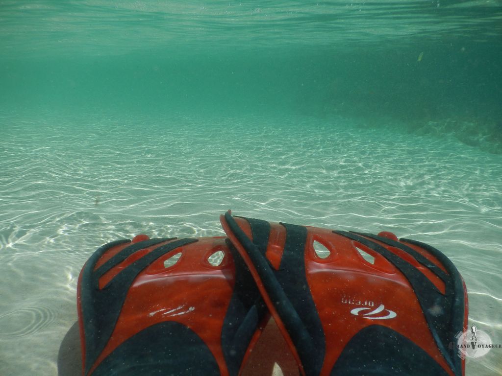 Le monde sous-marin nous attend. Le monde sous-marin nous attend.