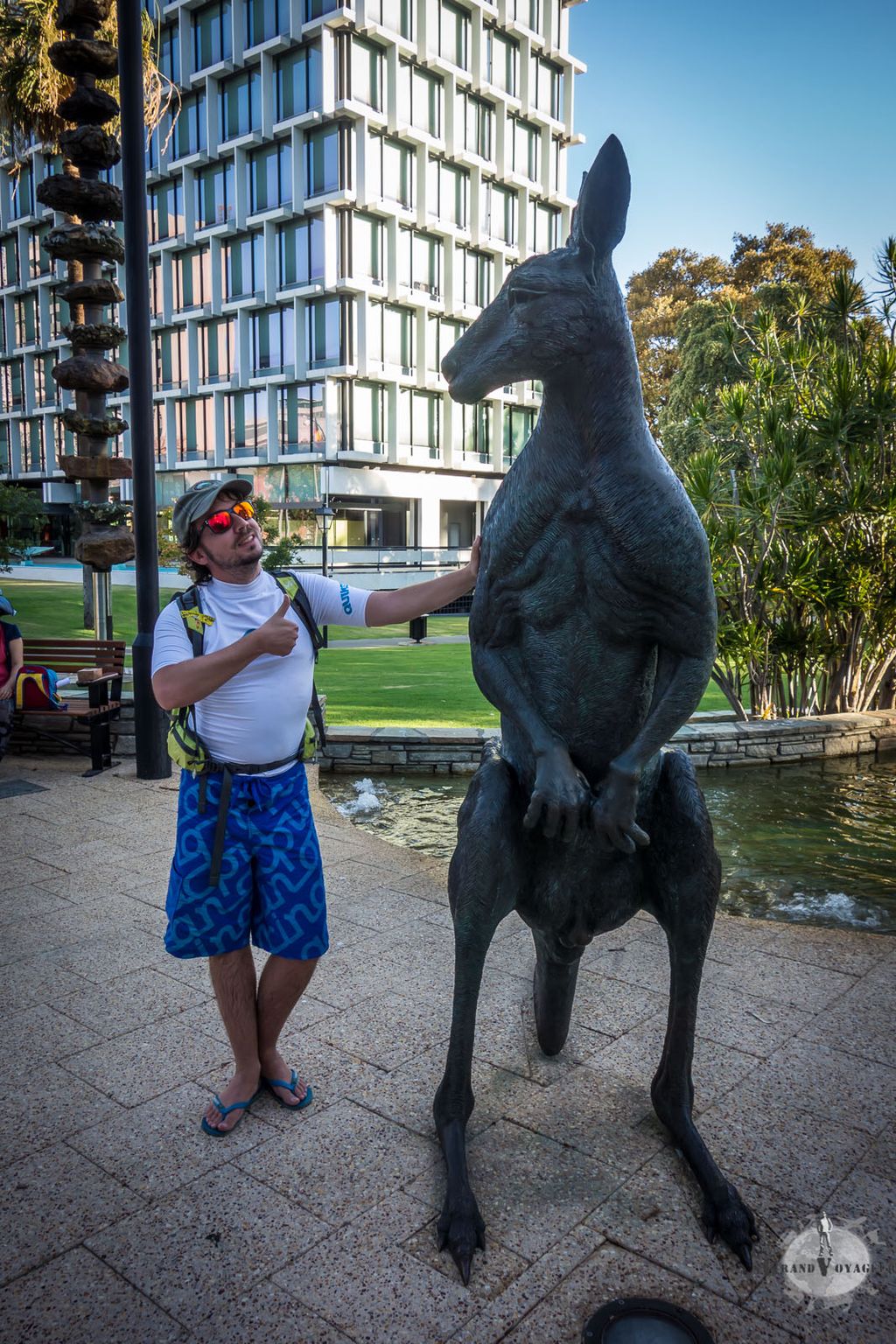 C'est que ça peut être très grand un kangourou C'est que ça peut être très grand un kangourou