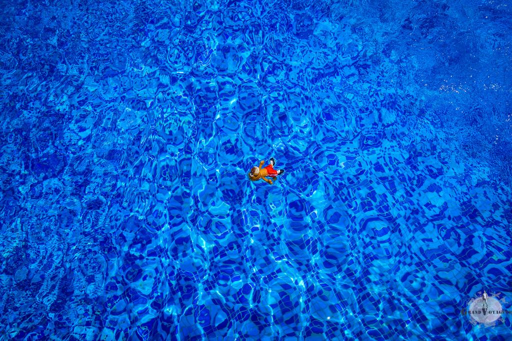 T-Chat fait la planche. T-Chat fait la planche.