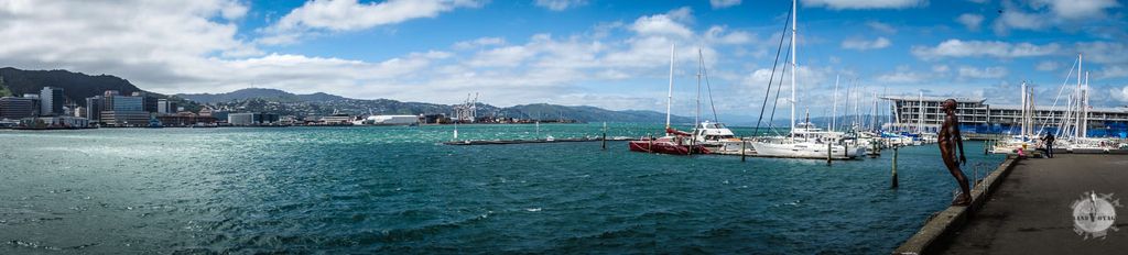Vue panoramique de la Marina de Wellington Vue panoramique de la Marina de Wellington