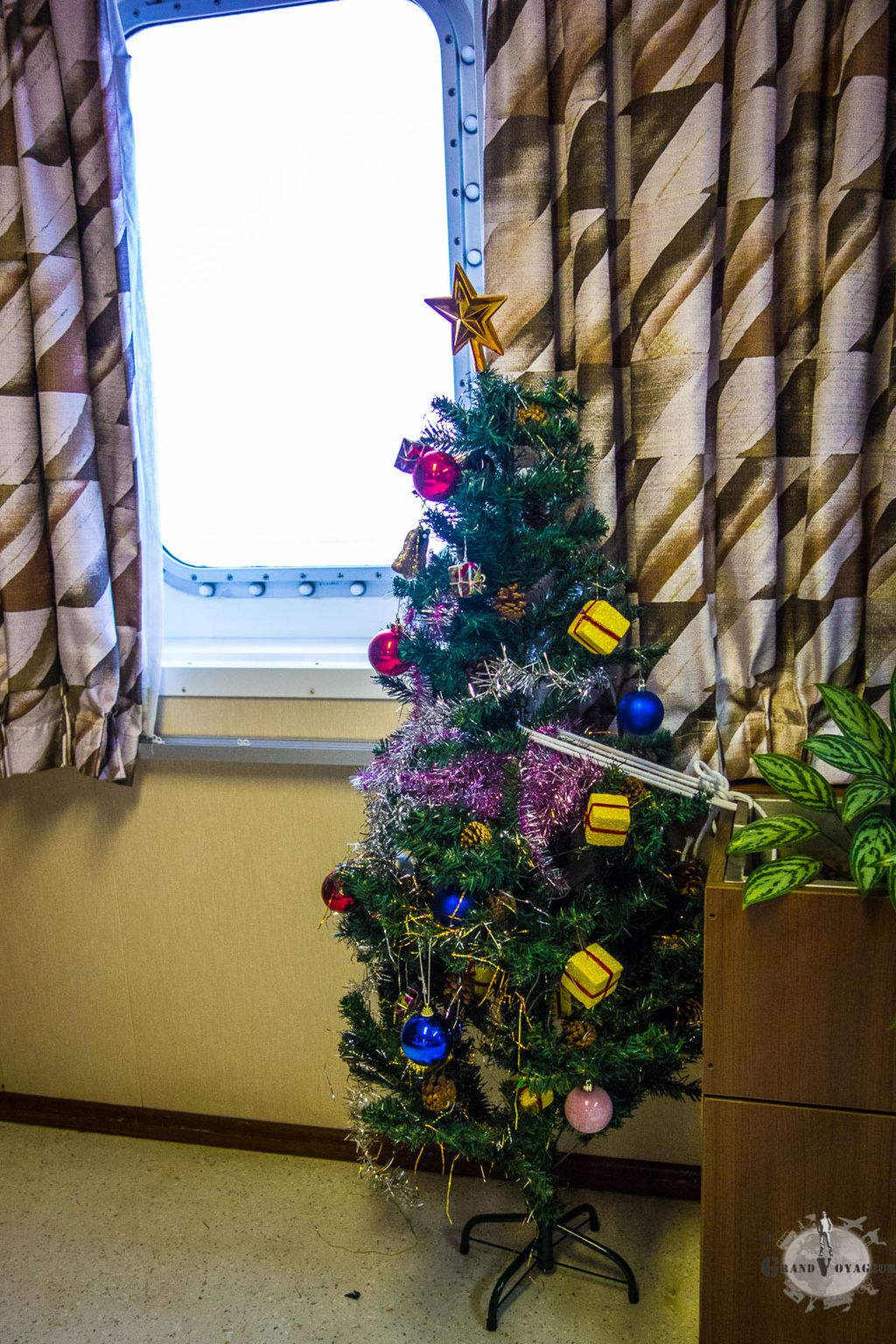 ... et comme c'est bientôt Noël, on a même droit à un vrai-faux sapin en plastique !