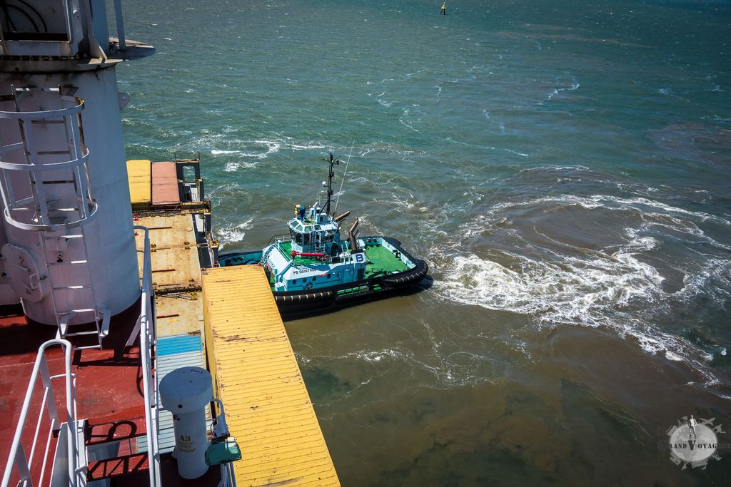 Des remorqueurs nous assistent à faire un demi-tour, tout en remuant le sable et le limon