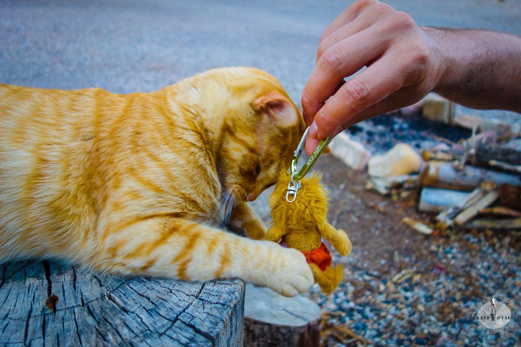 Ces deux-là finissent par bien s'entendre. Ces deux-là finissent par bien s'entendre.