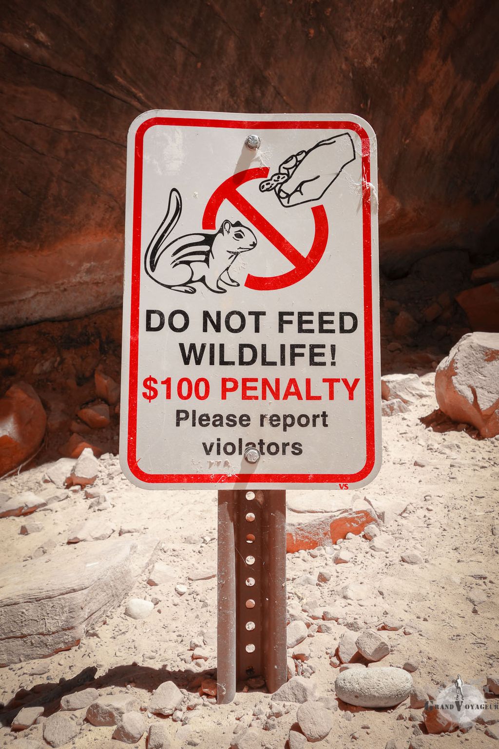 Alors, non seulement il ne faut pas nourrir les animaux, mais en plus on nous invite - voire nous commande - de dénoncer toute personne le faisant ! Alors, non seulement il ne faut pas nourrir les animaux, mais en plus on nous invite - voire nous commande - de dénoncer toute personne le faisant !