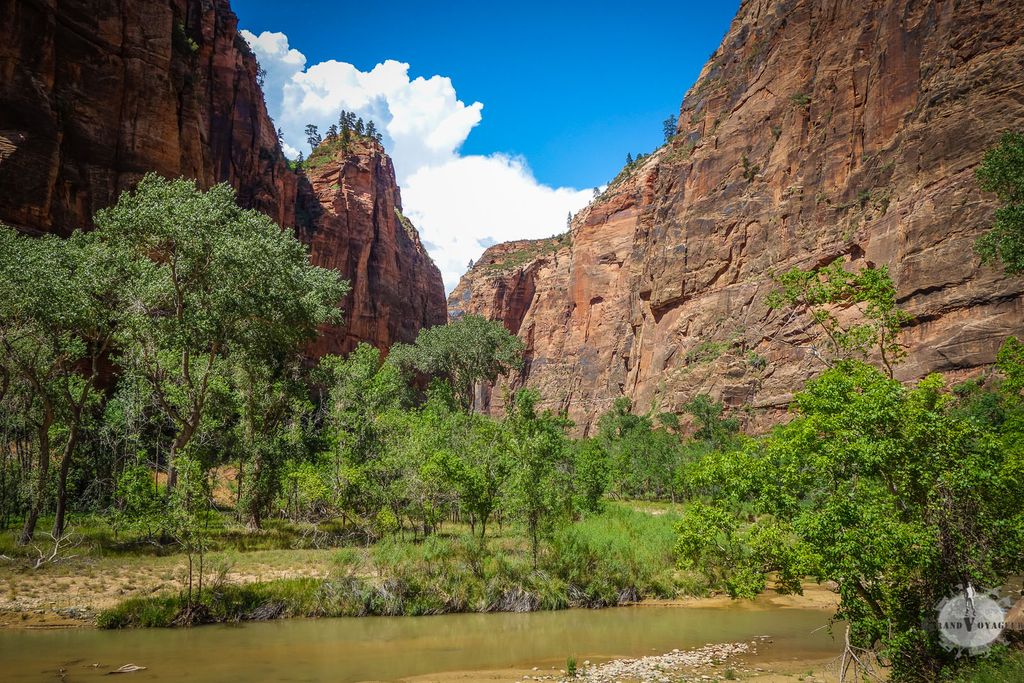 Zion National Park est assez sensible au phénomène de crues éclairs ("flash flooding") qui peuvent transformer un cours d'eau tout tranquille comme celui-ci en torrent mortel. Zion National Park est assez sensible au phénomène de crues éclairs ("flash flooding") qui peuvent transformer un cours d'eau tout tranquille comme celui-ci en torrent mortel.
